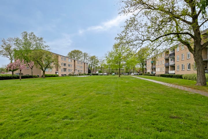 Foto 39 van Thornstraat 41