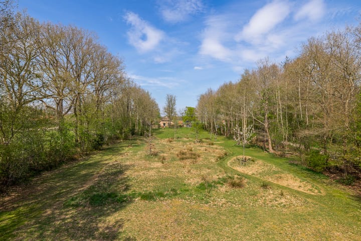 Foto 4 van Leeuwte 26