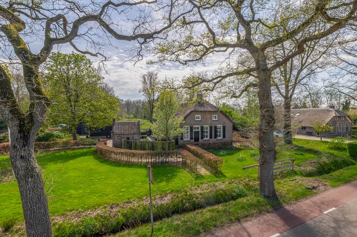 Foto 26 van Leeuwte 26