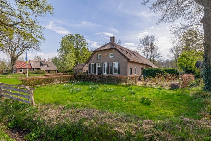 Foto 27 van Leeuwte 26