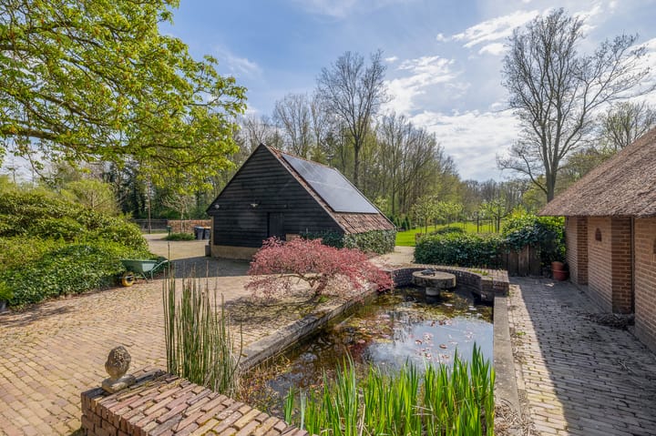 Foto 35 van Leeuwte 26