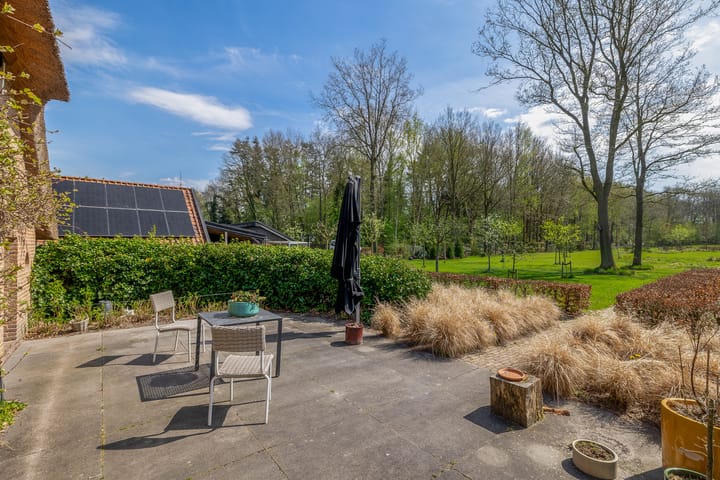 Foto 37 van Leeuwte 26