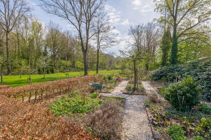 Foto 39 van Leeuwte 26