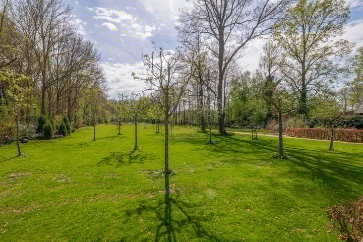 Foto 45 van Leeuwte 26