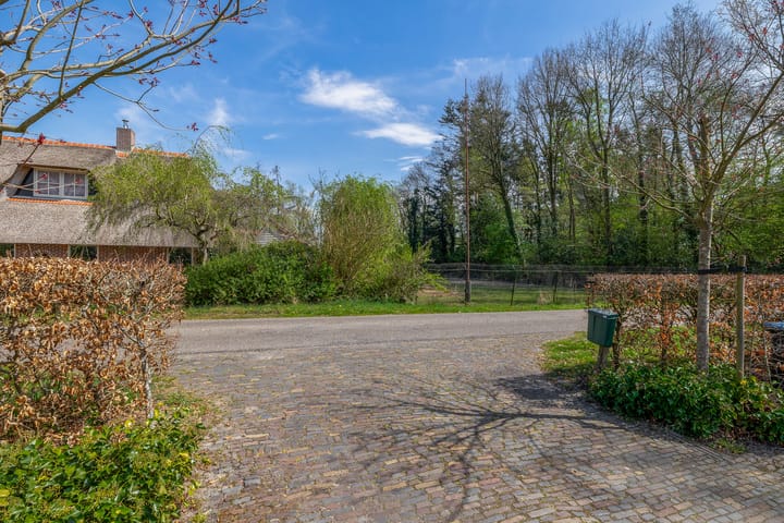 Foto 31 van Leeuwte 26