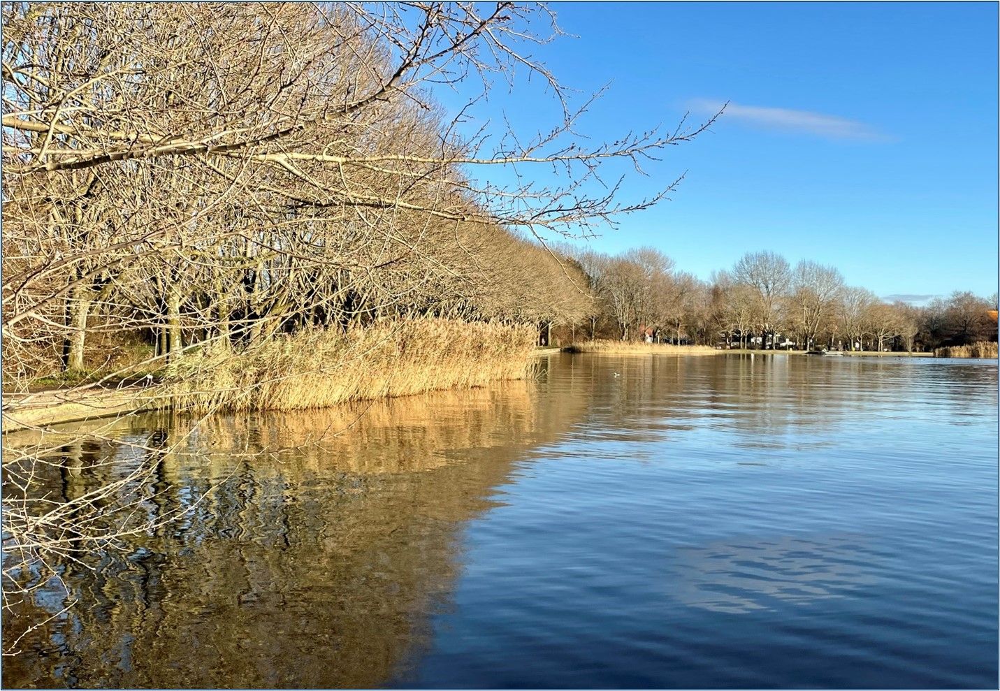 Foto 27 van Aïdaplein 156