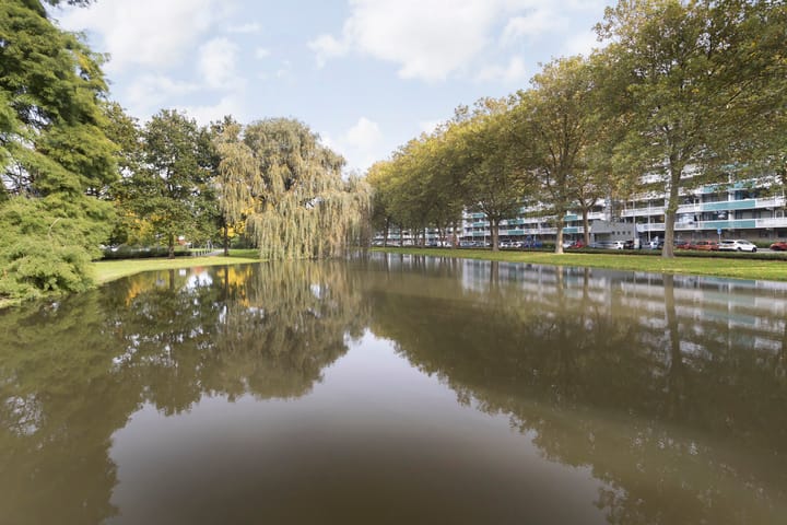 Foto 26 van Reggestraat 48