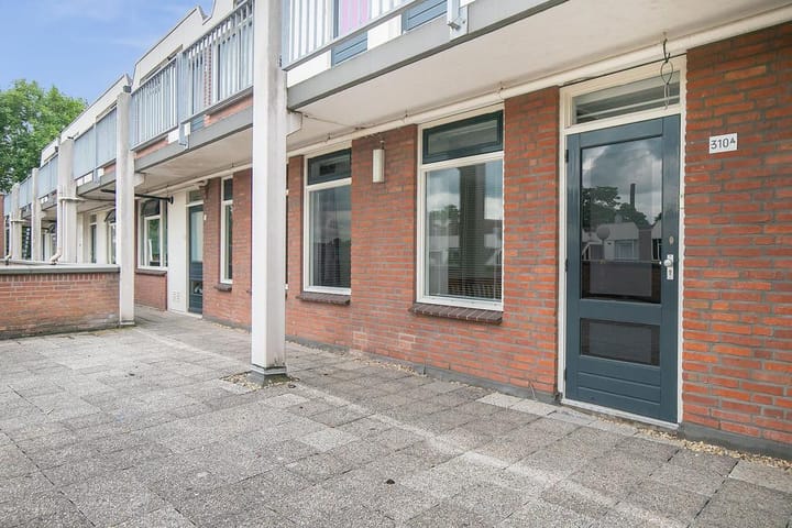 Foto 1 van Zuidvliet 310-A