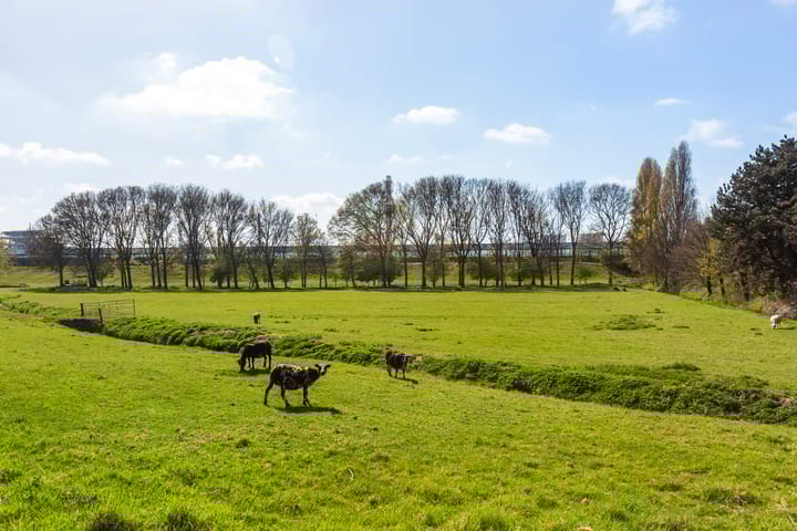 Foto 45 van Ring 565