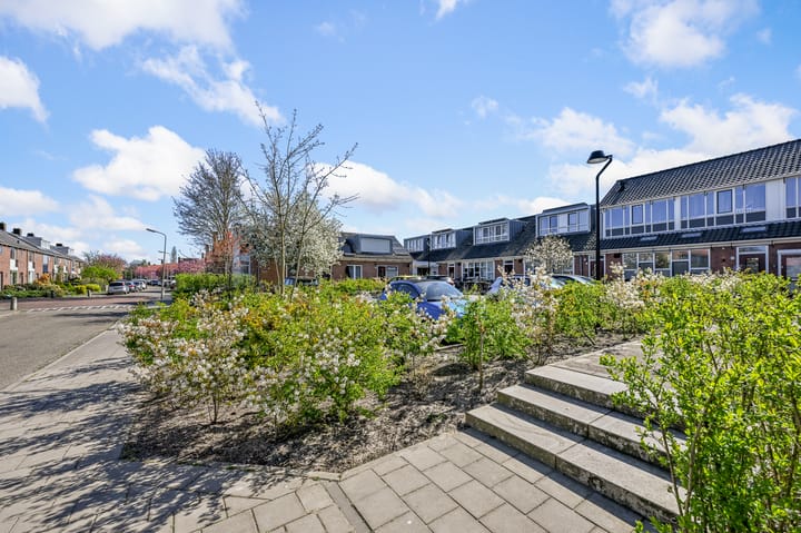 Foto 42 van Johan de Wittlaan 109