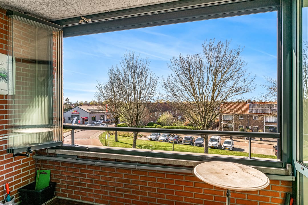 Foto 28 van Meeslaan 2-22