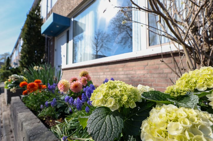 Foto 5 van Zijpendaal 11