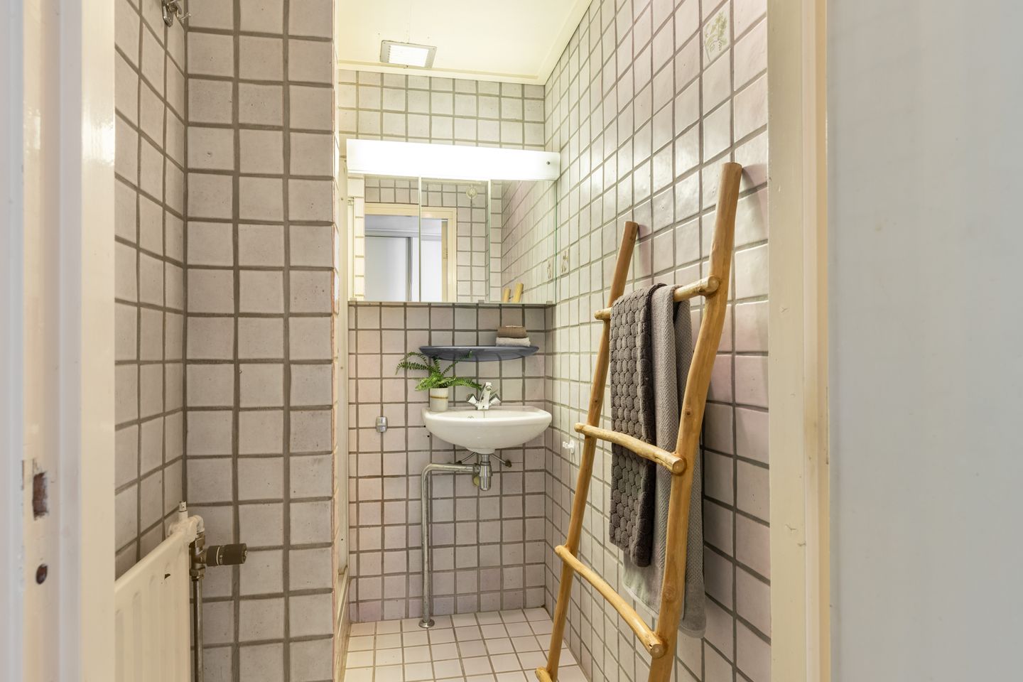 Foto 25 van De Nieuwe Plantagie 7