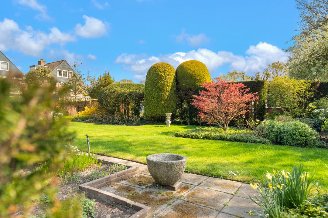 Foto 37 van De Nieuwe Plantagie 7