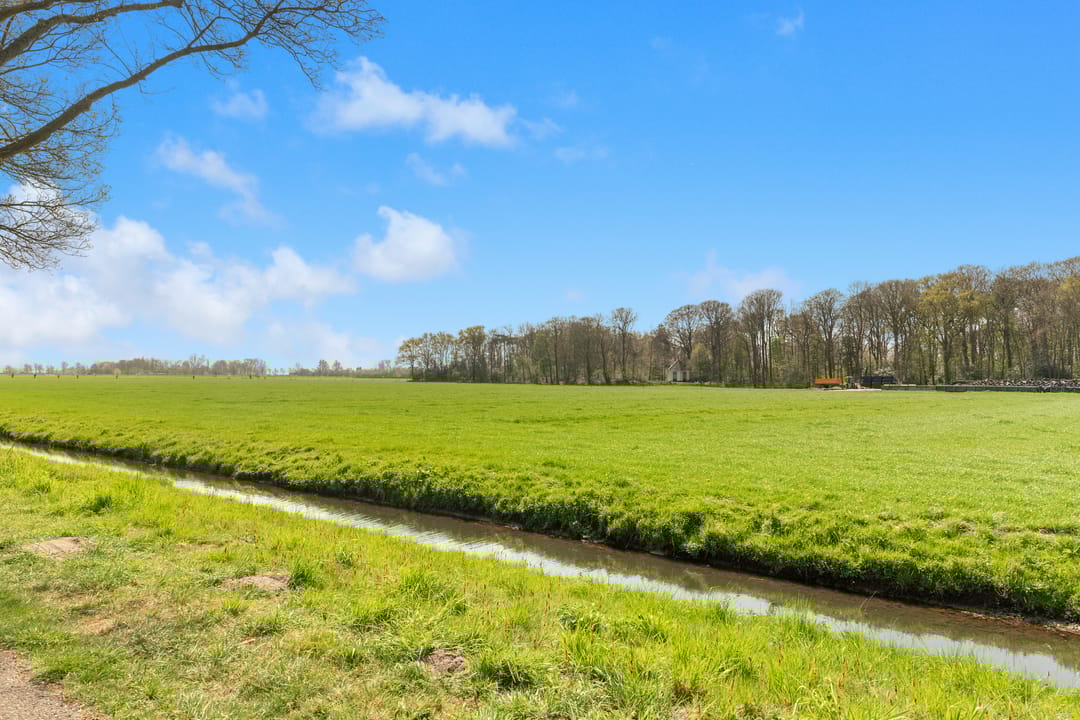 Foto 41 van De Nieuwe Plantagie 7