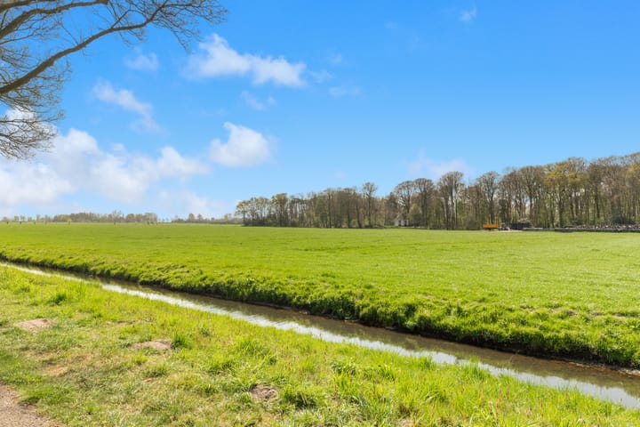 Foto 41 van De Nieuwe Plantagie 7