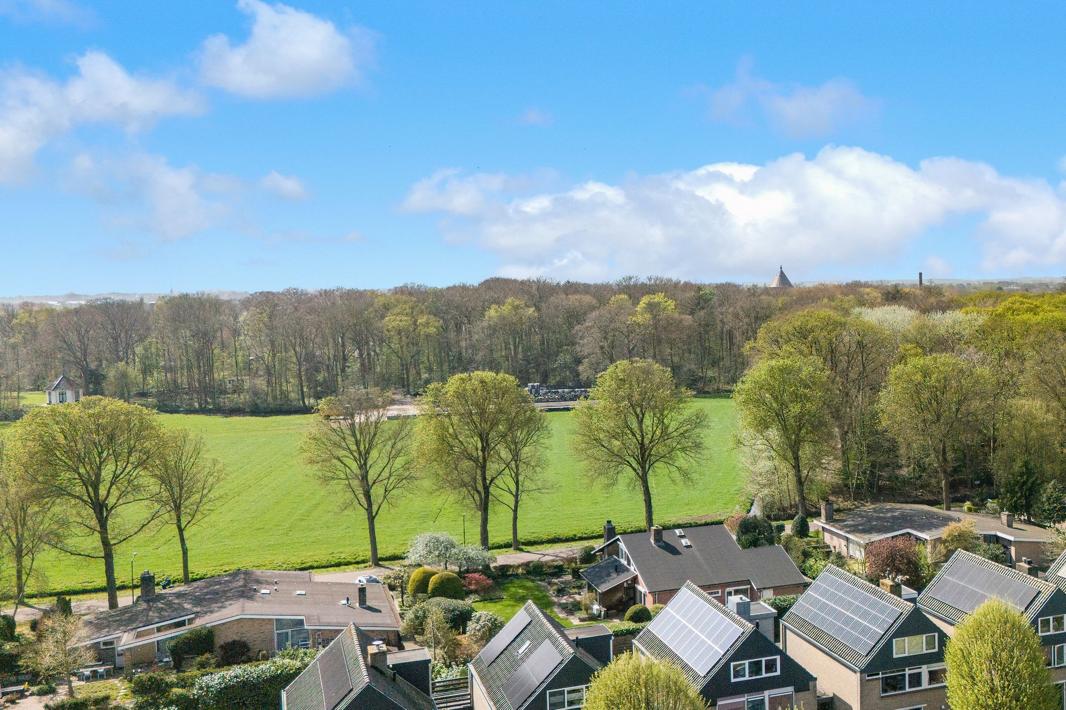 Foto 42 van De Nieuwe Plantagie 7