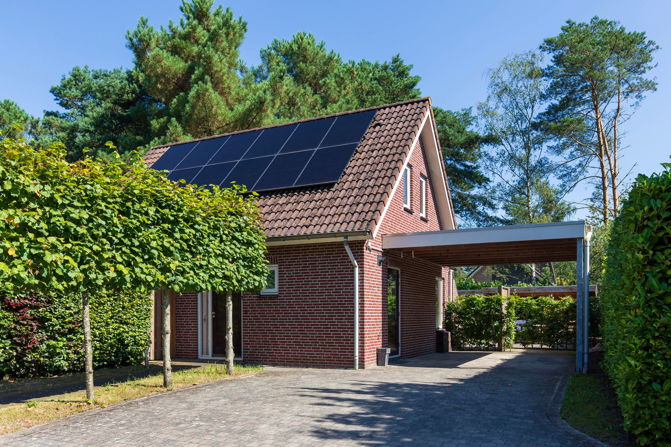 Photo 24 of Groenendries 41