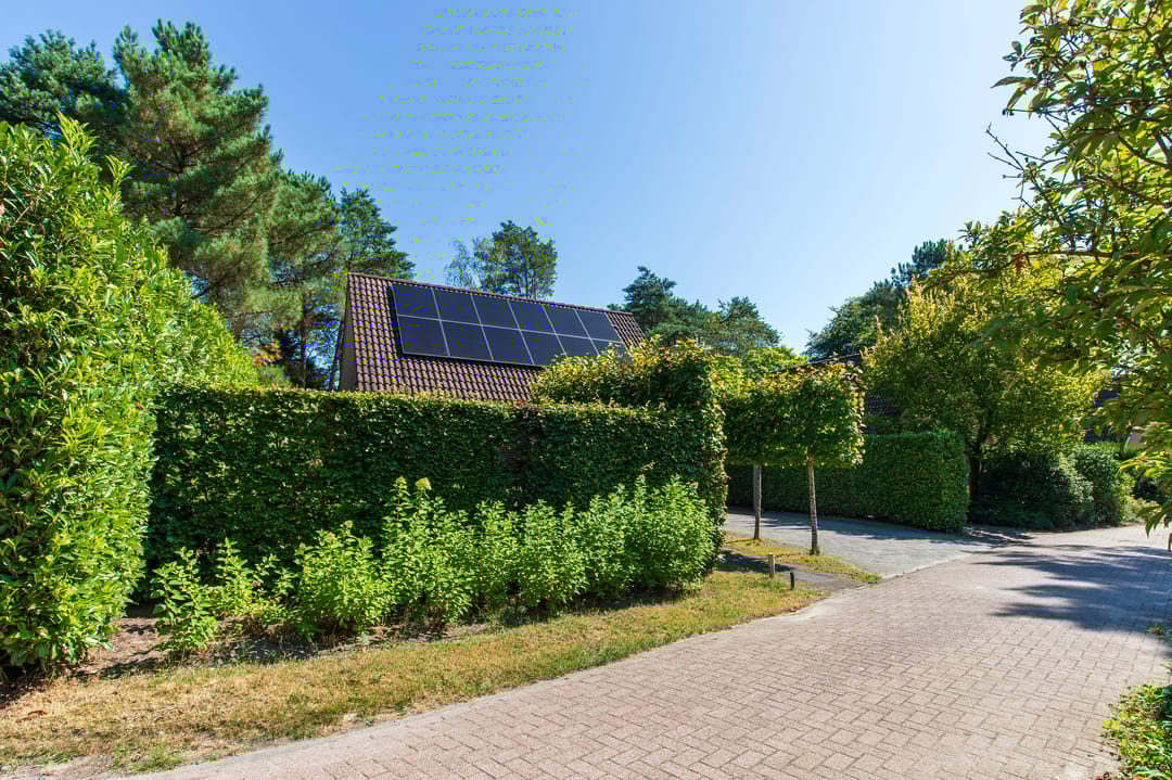 Photo 37 of Groenendries 41