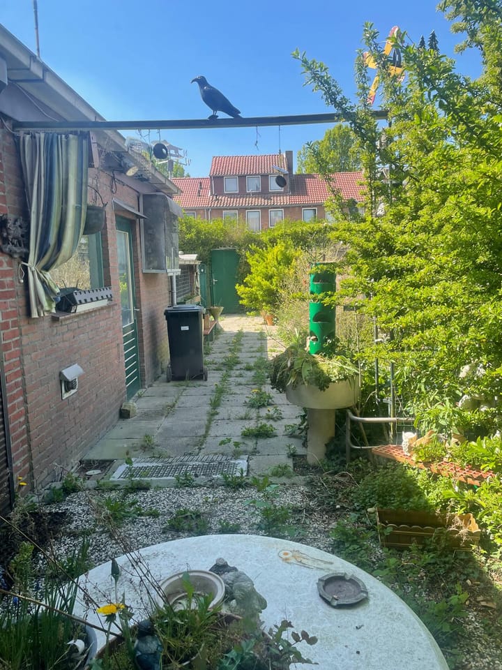 Foto 21 van Marijkestraat 7