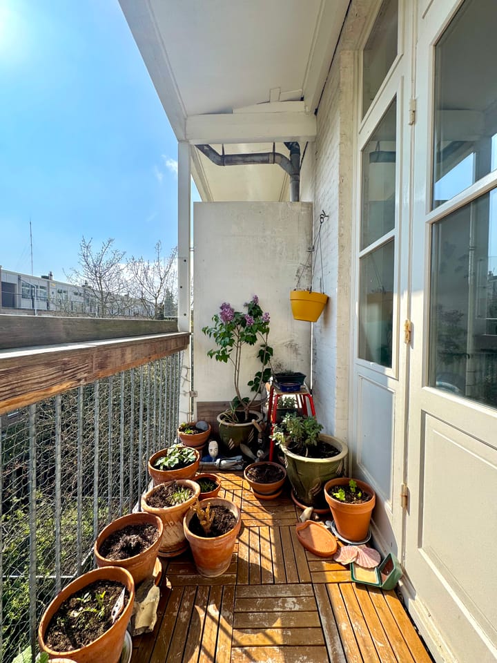 Photo 14 of Eerste Atjehstraat 142-D