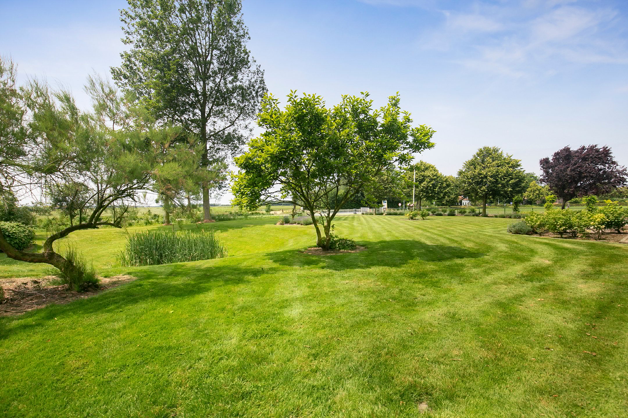 Photo 33 of Middelburgseweg 27