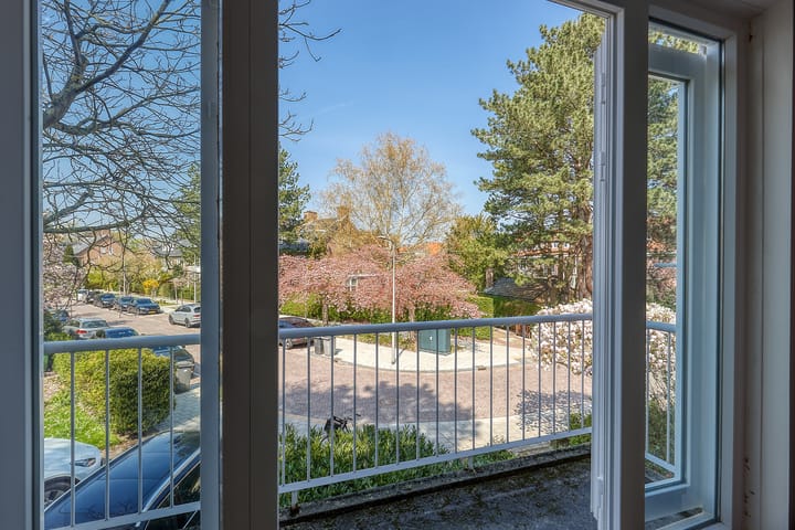 Foto 18 van Van Boetzelaerlaan 3