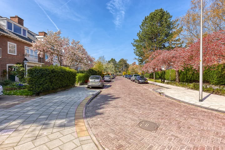 Foto 36 van Van Boetzelaerlaan 3