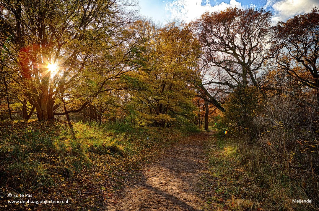 Foto 37 van Van Boetzelaerlaan 3