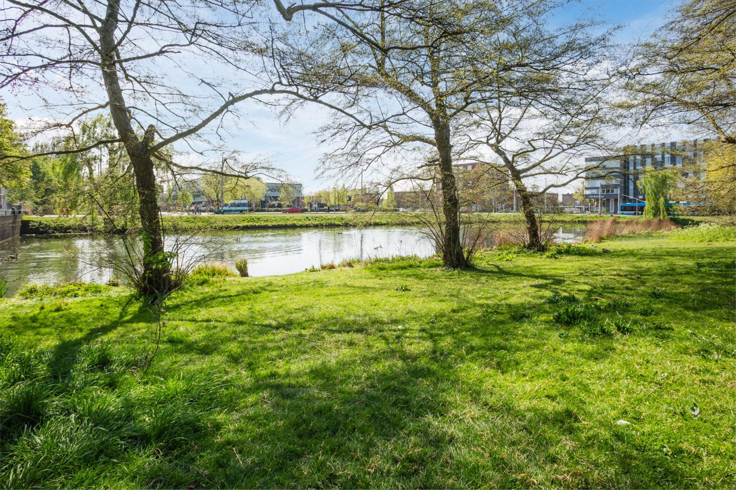 Foto 29 van Hanzestraat 77