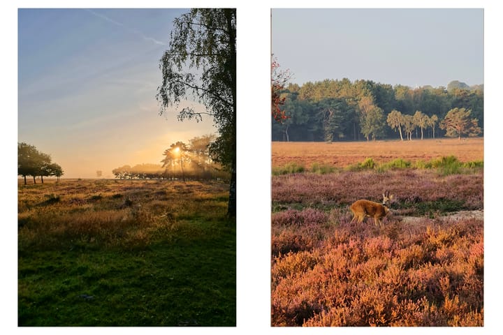 Foto 24 van Jacob van Campenlaan 22