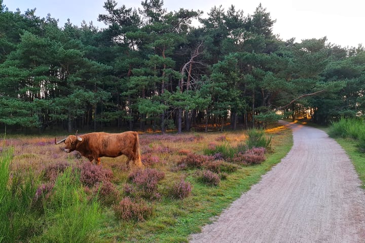 Foto 25 van Jacob van Campenlaan 22