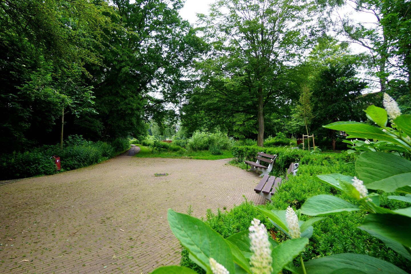 Foto 40 van Bucaillestraat 44