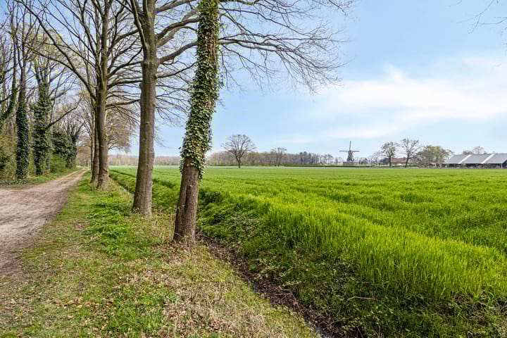 Foto 39 van Voor-Oventje 47