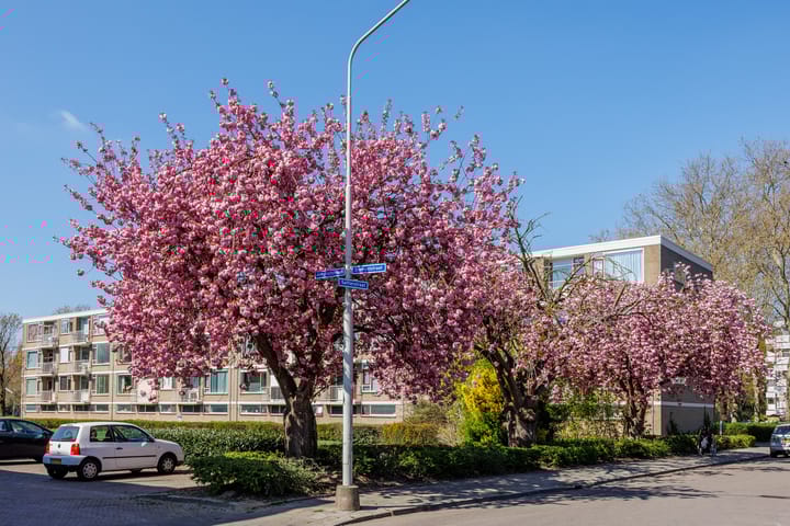 Foto 40 van Barnsteenstraat 25