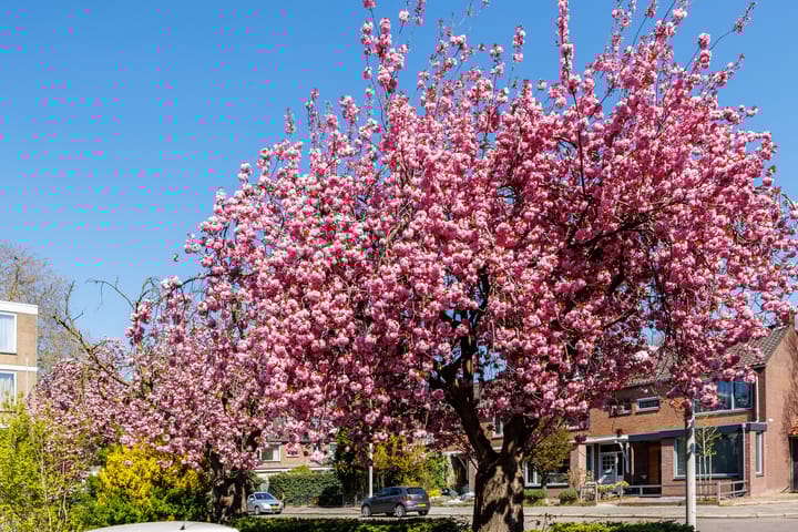 Foto 41 van Barnsteenstraat 25