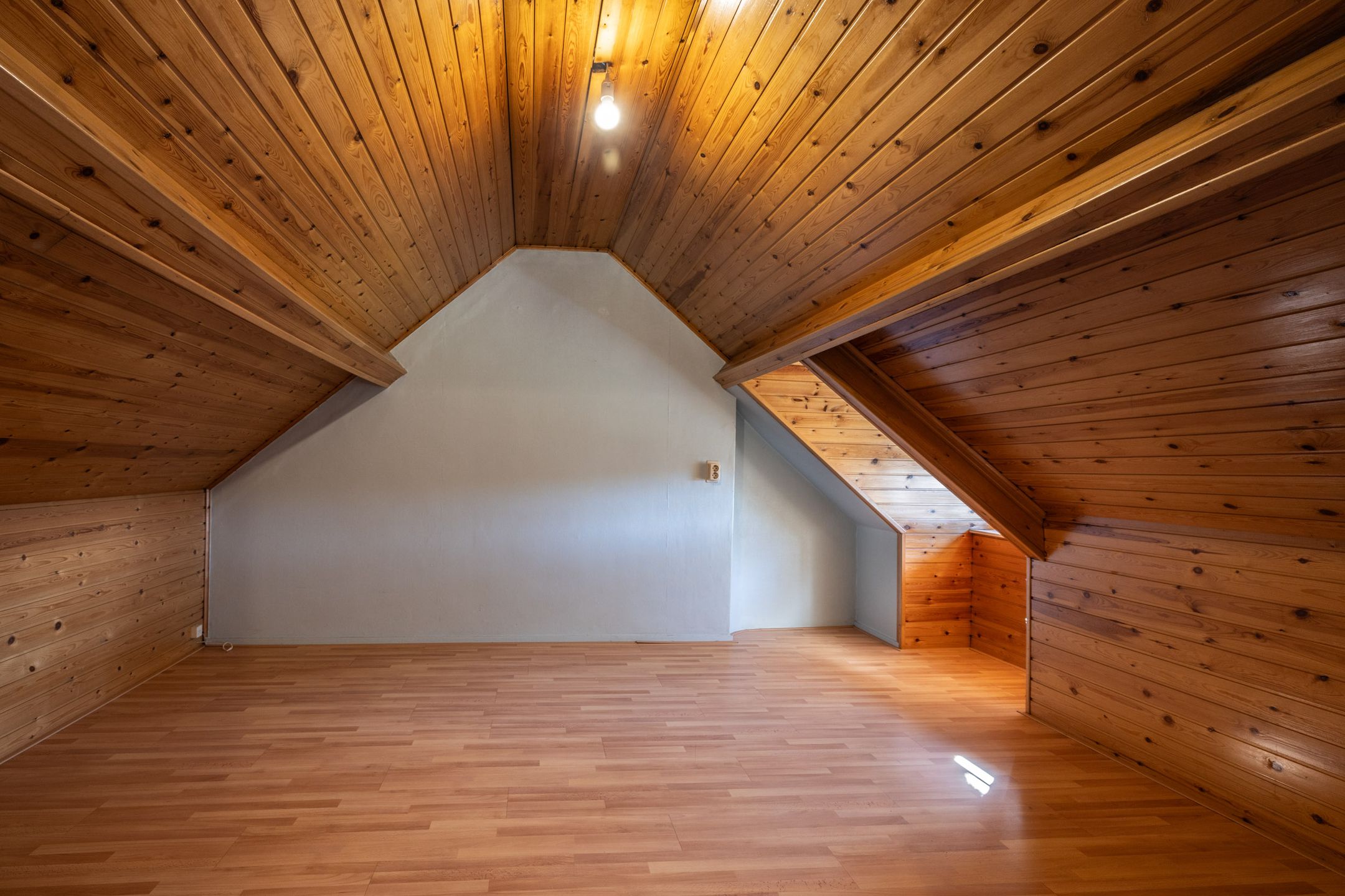 Photo 21 of Larikslaan 1