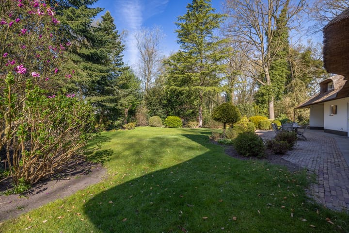 Foto 29 van Larikslaan 1