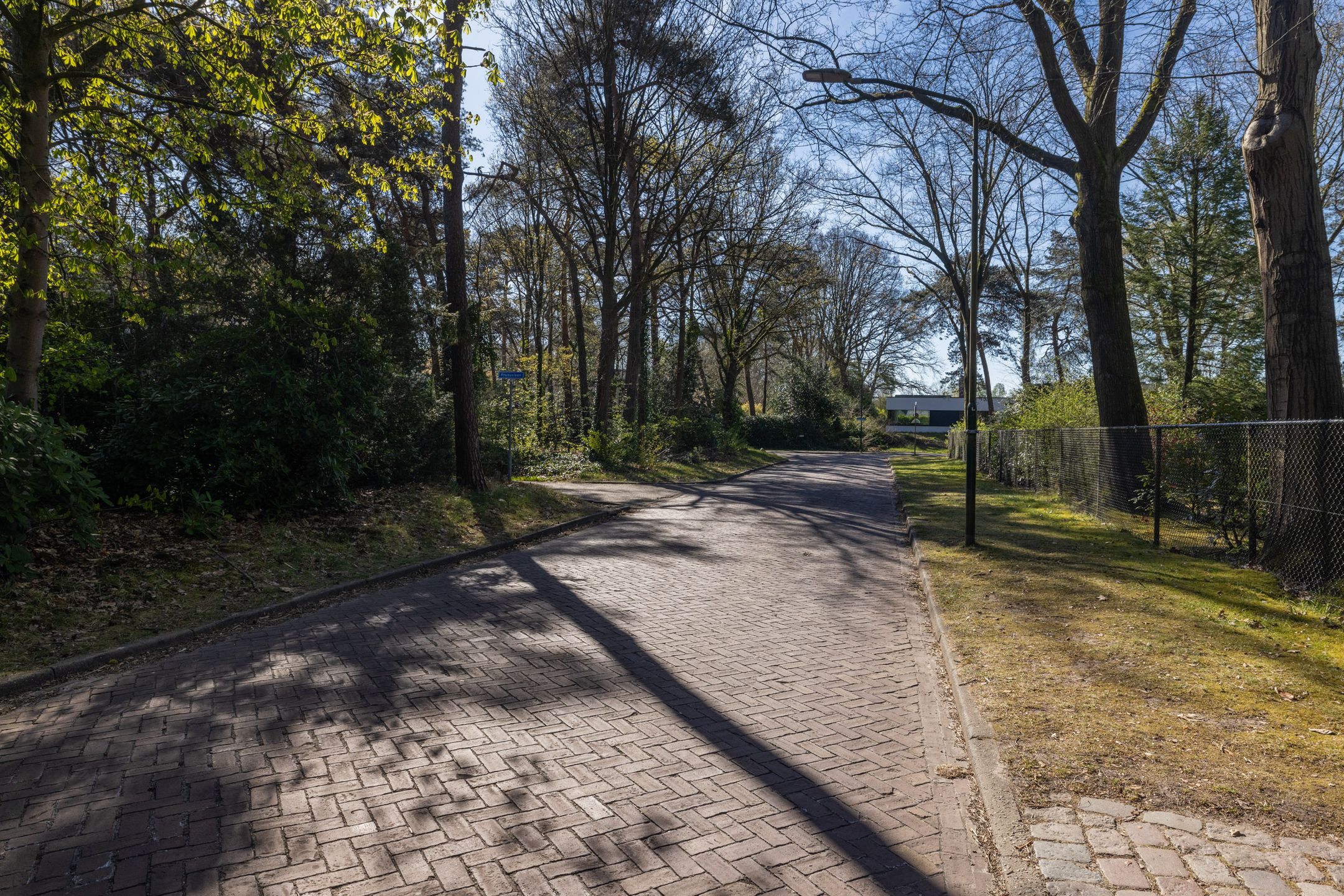 Photo 39 of Larikslaan 1