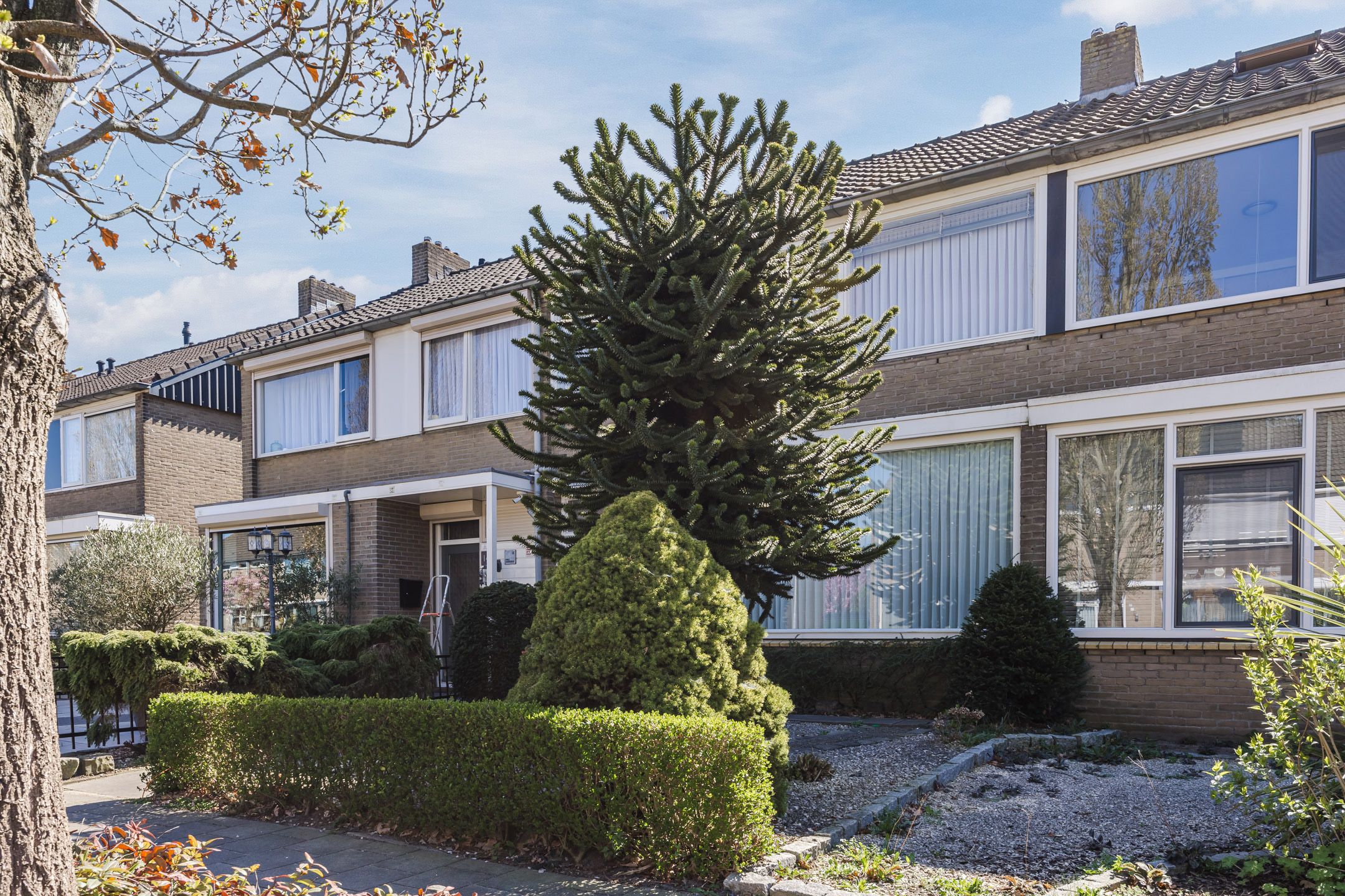 Foto 48 van Maximiliaan van Oostenrijkstraat 16