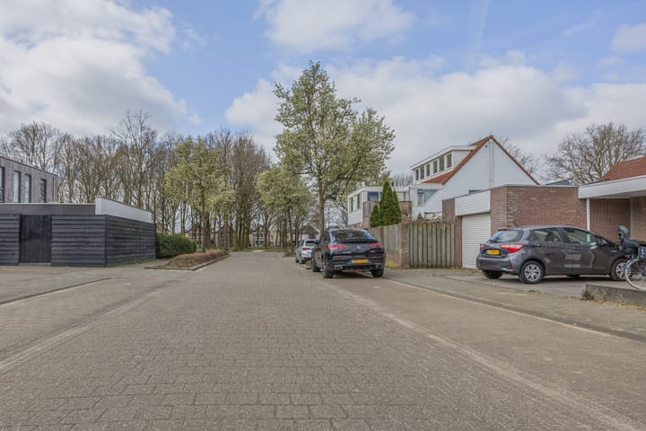 Foto 45 van Duiker 40