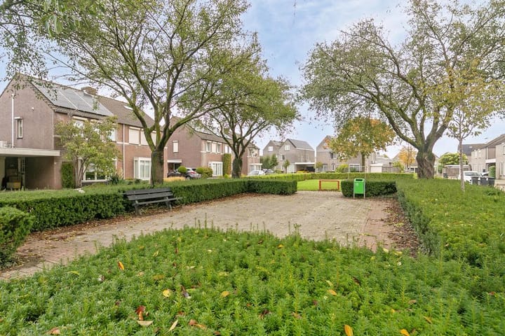 Foto 47 van Duiker 40