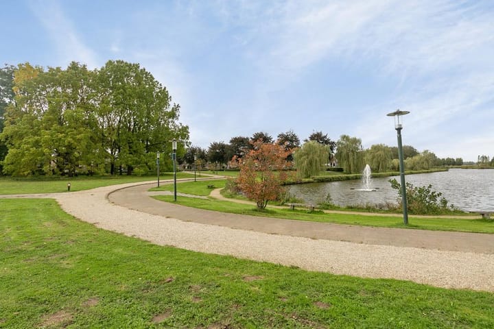 Foto 48 van Duiker 40