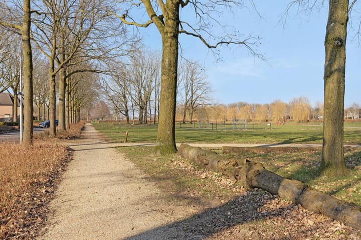 Foto 52 van Duiker 40