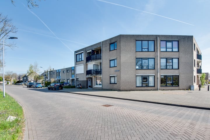 Troelstradreef 50