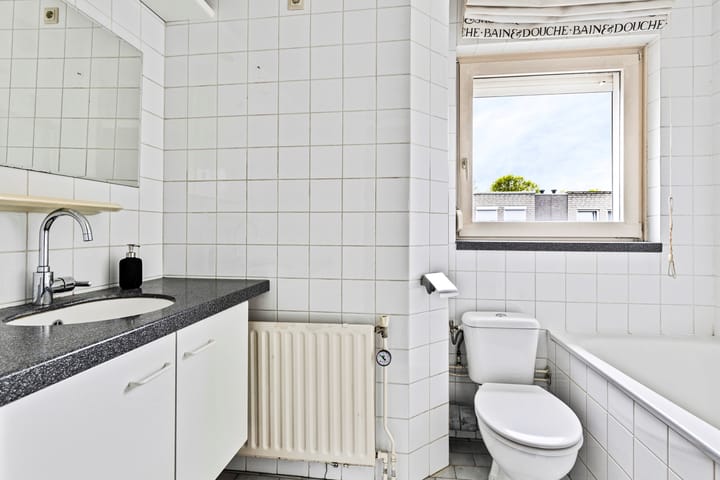 Foto 15 van Plantagobeemd 63