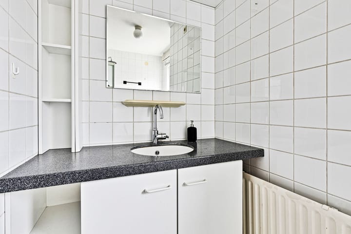 Foto 17 van Plantagobeemd 63