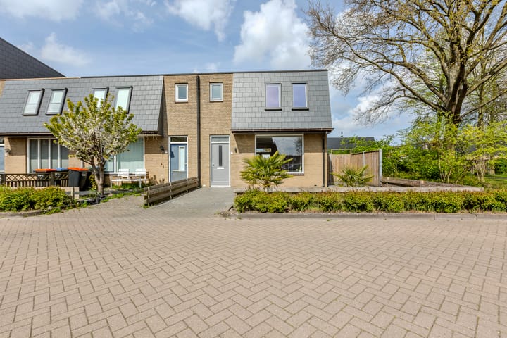 Foto 1 van Tjalk 34 9