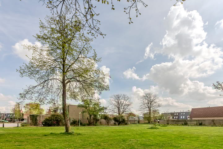 Foto 34 van Tjalk 34 9