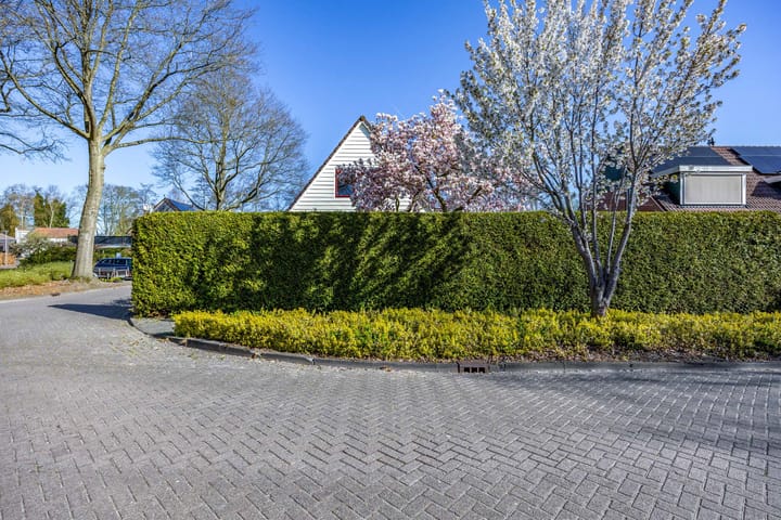 Foto 16 van Buurlandt 1